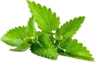 Mint leafs
