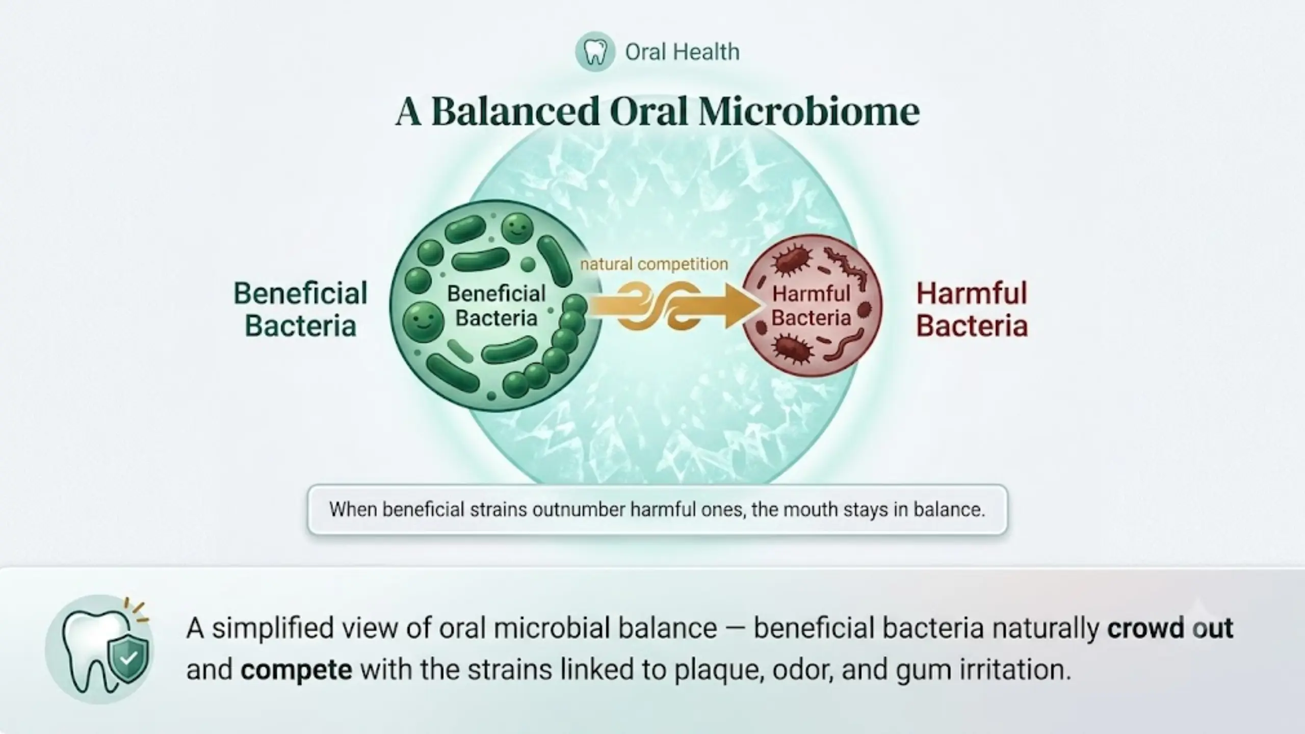 Balance Oral Microbiome