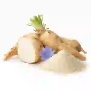 Chicory root and inulin